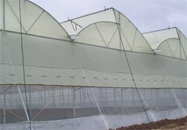 Silpaulin Plant Protection & Fruit Ripening Sheets