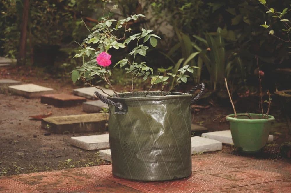 Silgrow HDPE Grow Bags